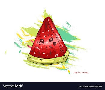 Watermelon with colorful splashes vector image