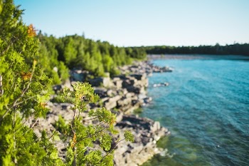 Waters Edge & Plants