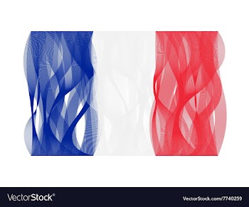 Wave line flag of France vector image