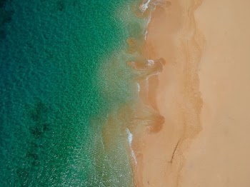 wave of ocean seashore