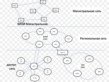 Wavelength-division multiplexing Technology Internet backbone /m/02csf Text - backbone vector 