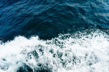 waves on body of water