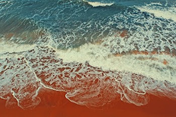 Waves Rushed on Shoreline