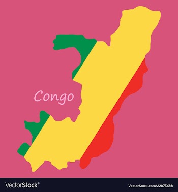 Waving fabric flag map of democratic republic of vector image