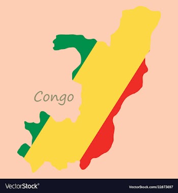 Waving fabric flag map of democratic republic of vector image