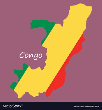 Waving fabric flag map of democratic republic of vector image