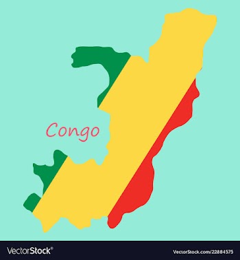 Waving fabric flag map of democratic republic of vector image