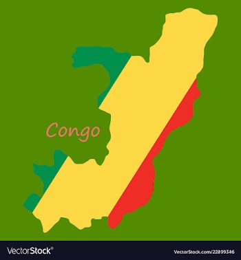 Waving fabric flag map of democratic republic of vector image