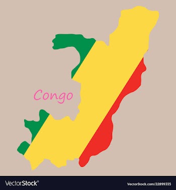 Waving fabric flag map of democratic republic of vector image