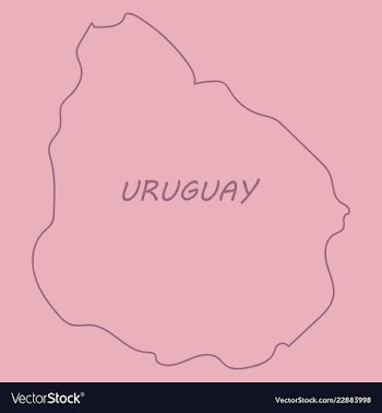 Waving fabric flag map of uruguay vector image