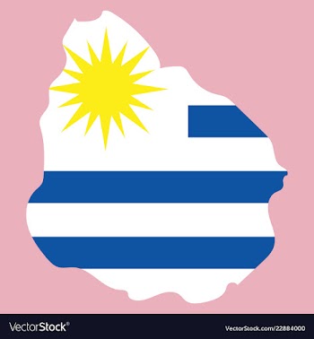 Waving fabric flag map of uruguay vector image