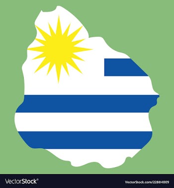 Waving fabric flag map of uruguay vector image