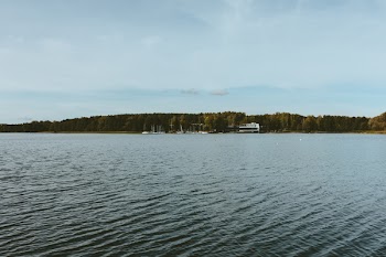 Wavy lake surrounded by forest 2