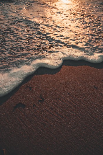 Wavy Seashore