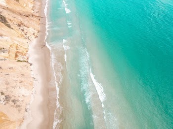 Wavy Seashore