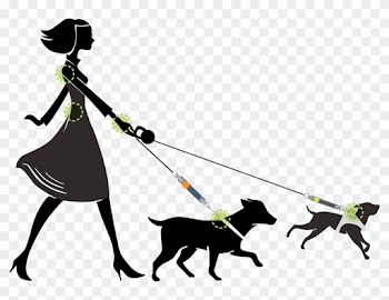 Waw Is The Innovative Anti Shock System Designed To - Girl Walking Dog Silhouette