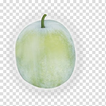 Wax gourd Calabash Vegetable Pumpkin, ash gourd transparent background PNG clipart