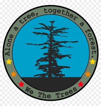 We Are Hard At Work On Our Spring / Summer 2018 Line, - We The Trees Hats