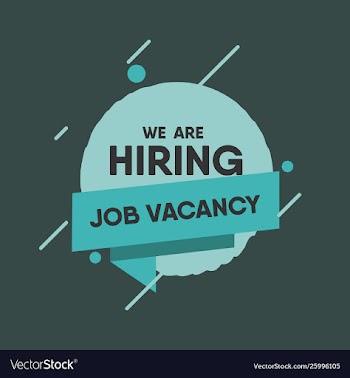 We are hiring job vacancy banner vector image