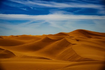 We drove over to see the Salton Sea before the smelly season. It was really quite an experience. Incredible area. On the way back we went through Glamis and did a bit of dune spotting.
