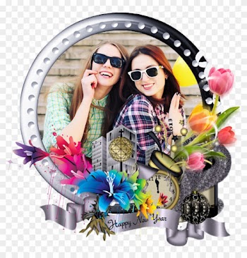 We Entered In 2016, The New Year Its - Rainbow Rose