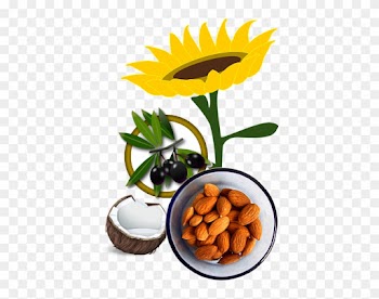 We Have Good Collection Of Natural Food Products That - Mahler Undamp; Co. Eigenmarke Bio Mandeln Braun 200g