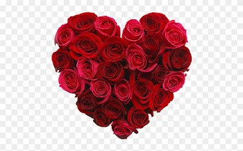 We Took A Look At The Top Cards And Flowers Brands - Red Roses Made Into A Heart