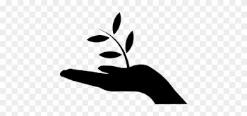 We Use Only Natural Ingredients In The Manufacturing - Plant A Tree Icon