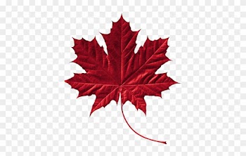 , We Would Like To Offer You A Free Membership And - Canada Symbol Maple Leaf