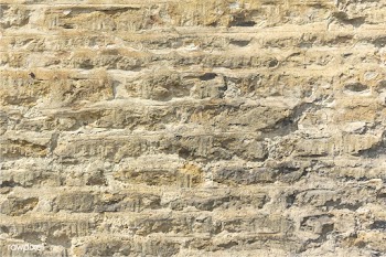 Weathered brick wall | Free stock vector - 597191