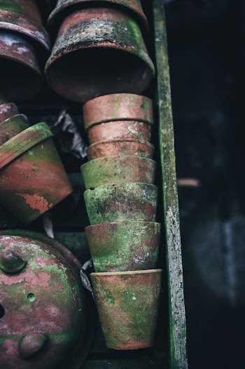 Weathered. Original public domain image | Free Photo - rawpixel