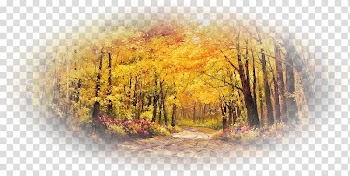 Web design Blog Autumn, world wide web transparent background PNG clipart