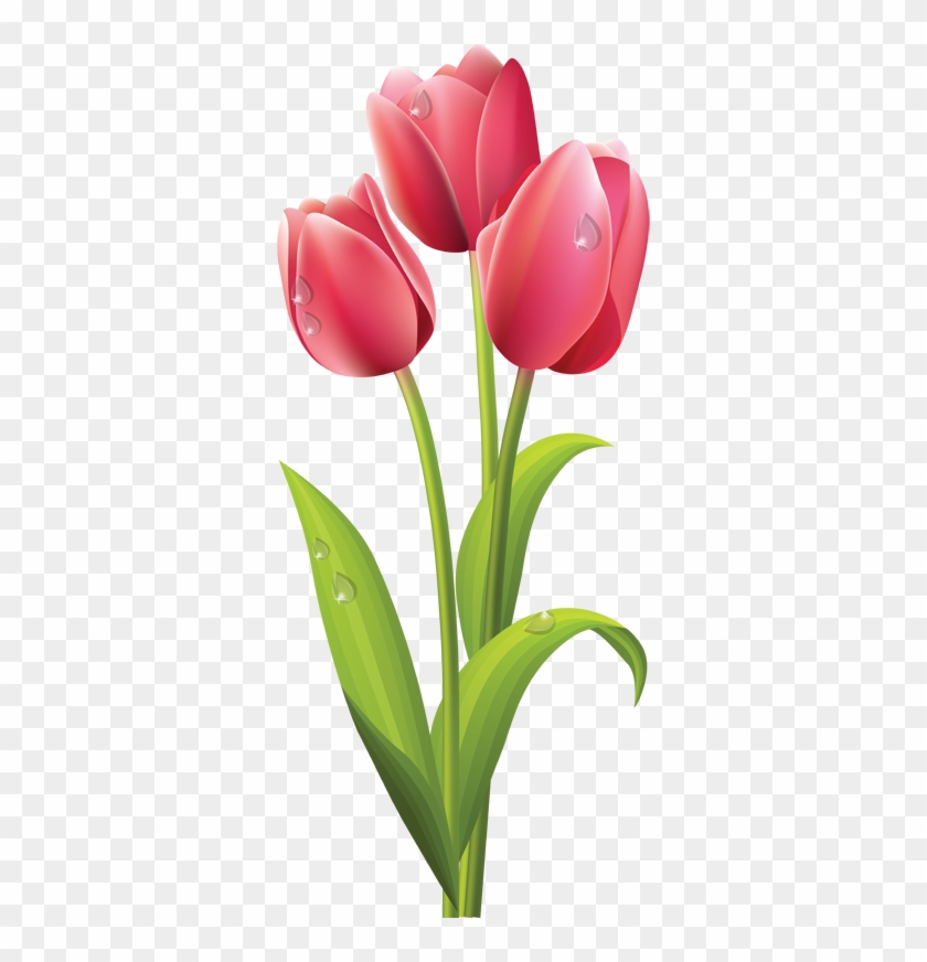 Web Design Clip Art Spring And Pink Tulips - Tulips Flower Png