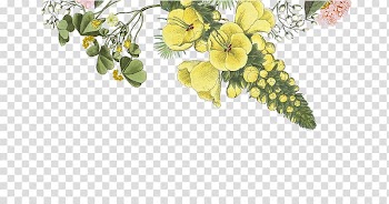 Web development Web template Cosmetics Wix.com, watercolor brush stroke transparent background PNG clipart