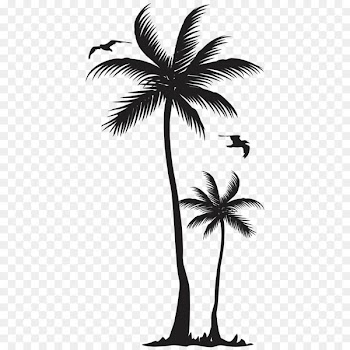 Web feed Grecotel Olympia Oasis & Aqua Park Instagram Facebook Photography - coconut tree 