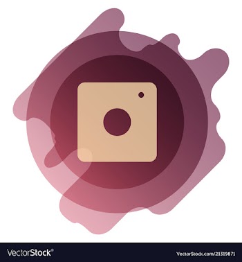 Web icon of modern lineart camera digital vector image