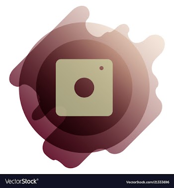 Web icon of modern lineart camera digital vector image