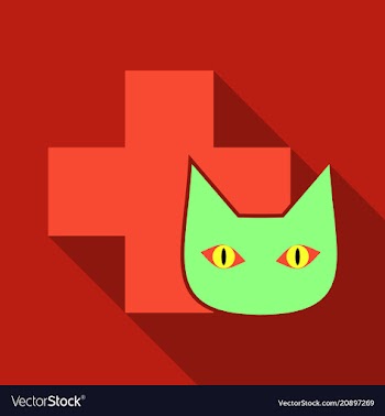 Web line icon veterinary medicine icon cat and vector image