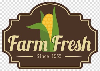 Web template system, Autumn harvest design transparent background PNG clipart