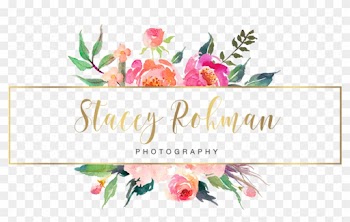Wedding And Family Photographer Based In Central Illinois - Cool Blogger Business Cards