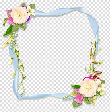 Wedding anniversary Gift Jubileum, pearls transparent background PNG clipart