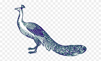 Wedding Clip Art Gallery Online - Wedding Peacock Clip Art
