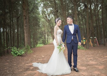 Wedding Couples Between Tall Trees