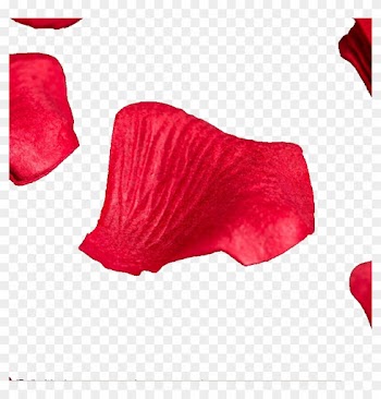 Wedding Decoration Wedding Supplies Props Marriage - Illustration