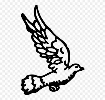 Wedding Dove Clipart - Gambar Merpati Hitam Putih