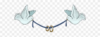 Wedding Dove Png - Congratulations On Your Wedding Gif