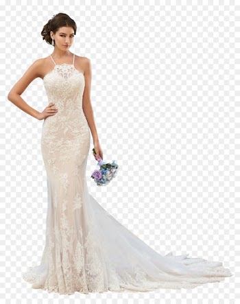 Wedding dress Bride Train - bride 
