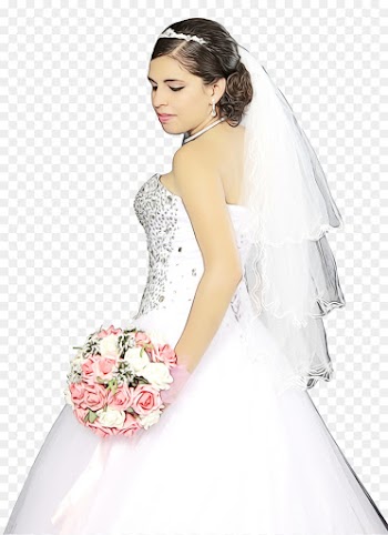 Wedding Dress, Dress, Bride, Gown PNG