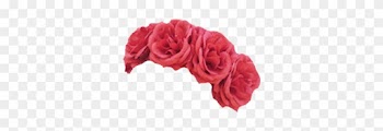 Wedding Flower Crown Hairstyle - Rose Flower Crown Png