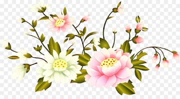Wedding, Honeymoon, Junggu, Flower, Flowering Plant PNG